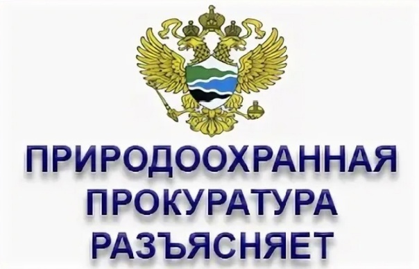 Саратовская межрайонная природоохранная прокуратура разъясняет требования к предотвращению гибели объектов животного мира при осуществлении производственных процессов, а также при эксплуатации транспортных магистралей, трубопроводов и линий связи и электр.